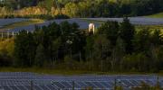 Solar farms surround trees at Cornell University.